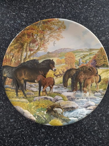 Davenport display plate - display, 8.5"