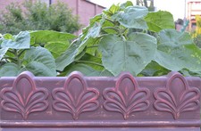 Concrete mold antique edge