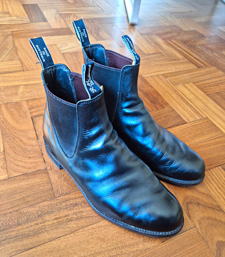 Williams men s black - r.m.,