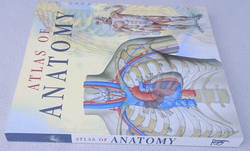 Atlas human anatomy - human, iazzetti