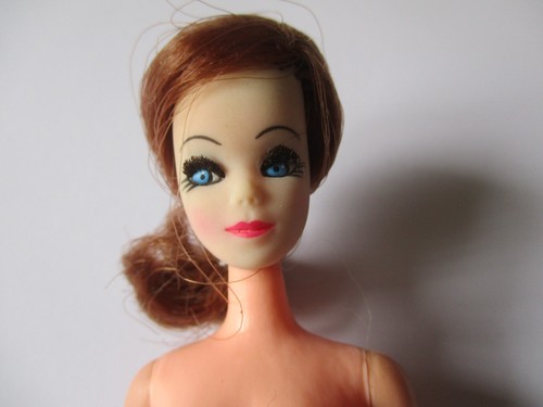 Palitoy pippa doll - palitoy, dawn