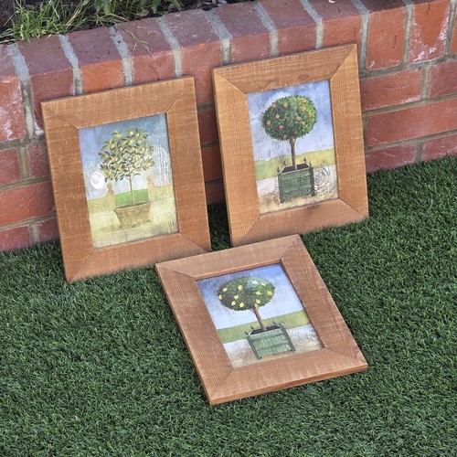 Set country topiary - 3,