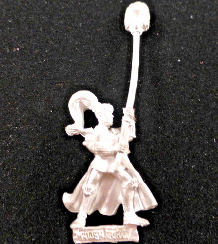 High elves maiden guard - elves,