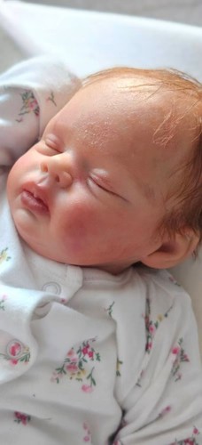 Cuddle baby jazmin bonnie - baby,