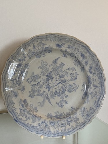 Asiatic pheasant plate brough - asiatic,