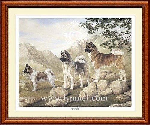 Akita limited edition dog - akita,