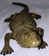 HIGHLY DETAILED VIVARIUM BEARDED DRAGON ORNAMENT DECORATION