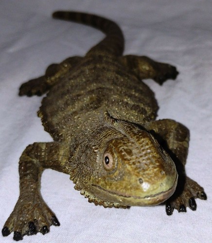 Highly detailed vivarium - highly,