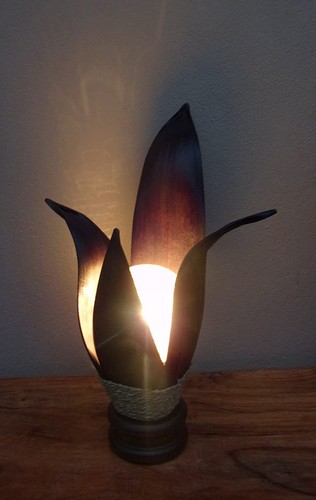 Unusual dark banana - unusual, palm