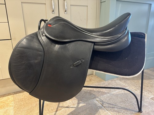 Whitaker bedale - 17”, gp