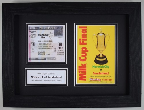 1985 league cup final photo - cup,