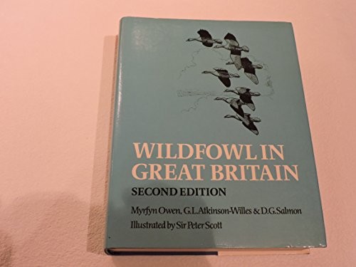 Wildfowl great britain - wildfowl, in