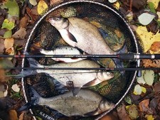 Browning Hot Rods 10ft 3pc Carp Bomb Rod 80G  RRP £99.99