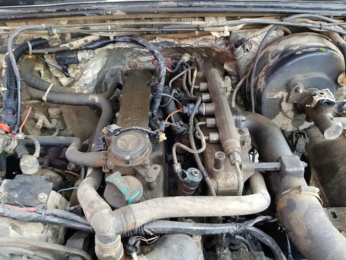 Cylinder head for - cylinder, tata
