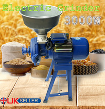 3000W Electric Mill Wet & Dry
