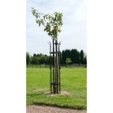 "Hercules" Tree Guards - Large