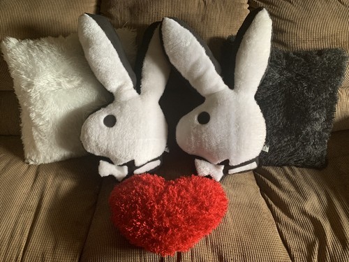 Playboy pillows bunny y2k - bunny, plus