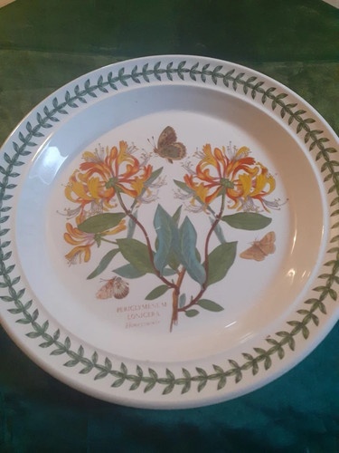 Vintage portmeirion the - 10.5",