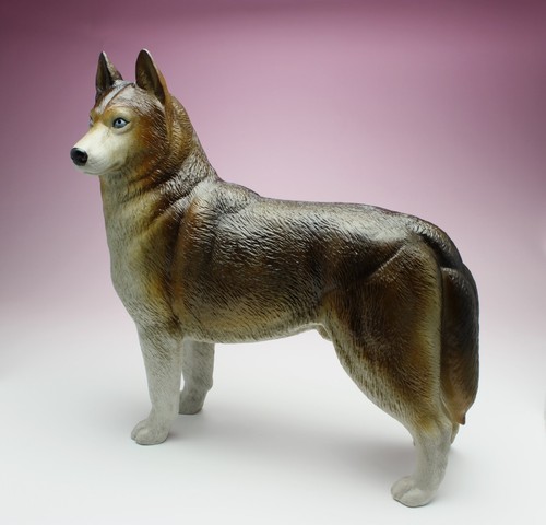 Siberian husky red - husky,