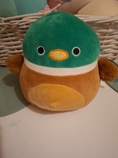 Avery The Mallard Duck