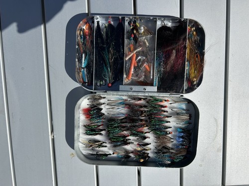 Richard wheatley salmon sea - salmon, &
