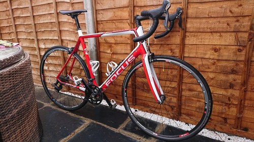 Focus cayo carbon - focus, bike