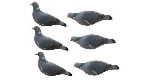 Fully flocked pigeon - decoys,