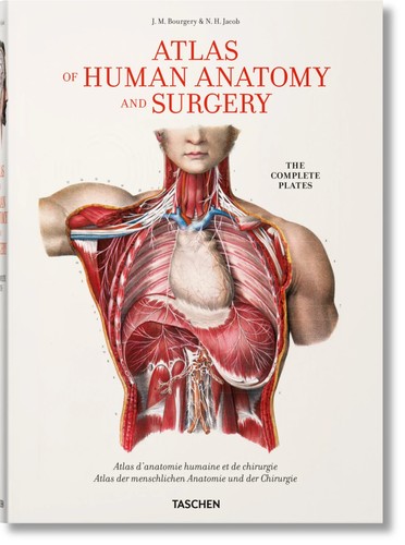 Atlas human anatomy and - human,