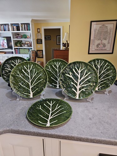 Olfaire cabbage leaf dinner - olfaire,