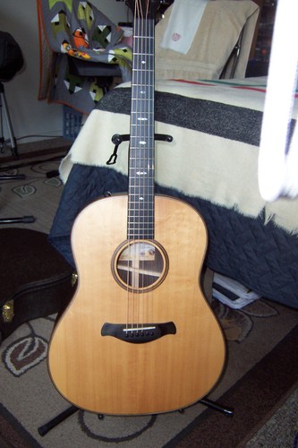 Taylor 717e builders edition - 717e,