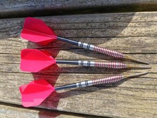 Dennis Priestley 25g Darts
