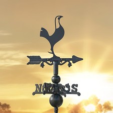 Contemporary Cockerel