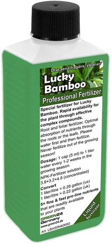 Lucky bamboo liquid - lucky,