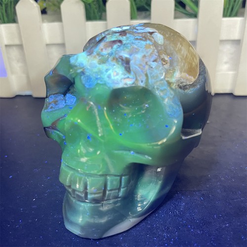 1lb fluorescent - 1.1lb, 3.1"