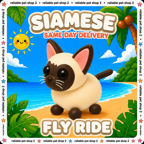 Siamese cat adopt - siamese,