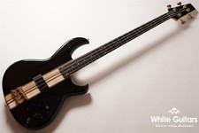 Aria Pro II SB-1000 - SBK