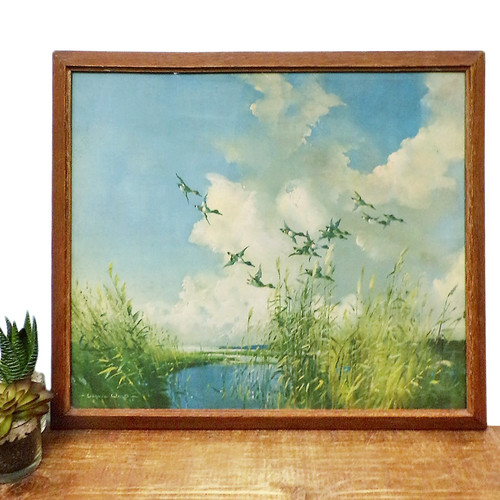 Vernon ward framed print mid - vernon,