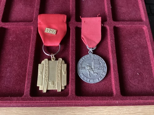British walking medals holcot - british, medals,