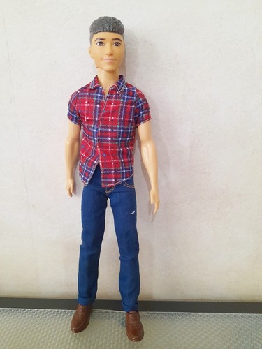Barbie ken doll - ken, in