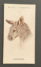 1934 Vintage Cigarette Cards