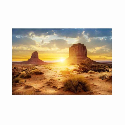 Reptile background sun and - reptile,