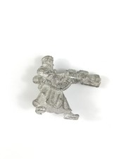 Valhallan Ice Warrior with