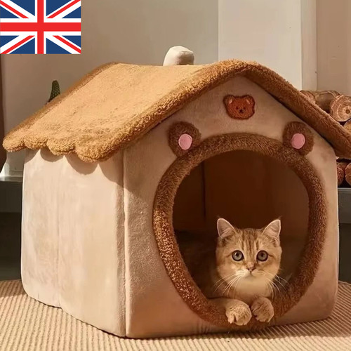 Pet cat kitten dog - pet, igloo