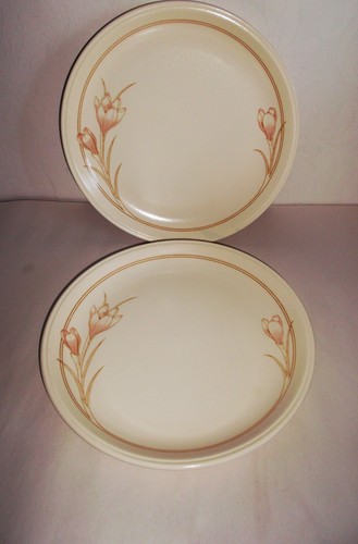 Staffordshire tableware - staffordshire,