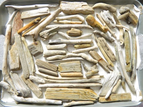 Driftwood pieces for arts - driftwood,