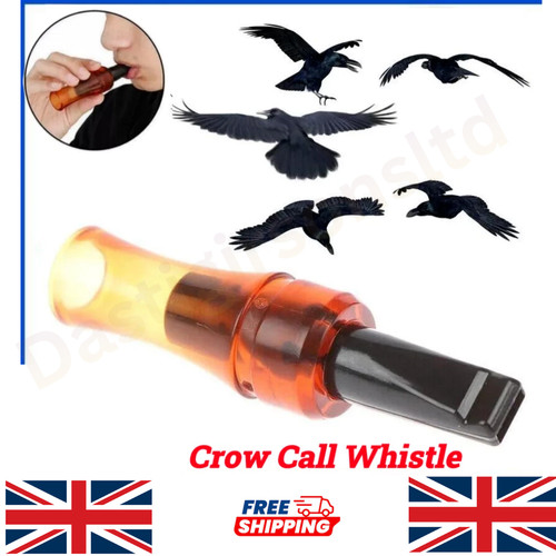 Outdoor crow rook - call, whistle