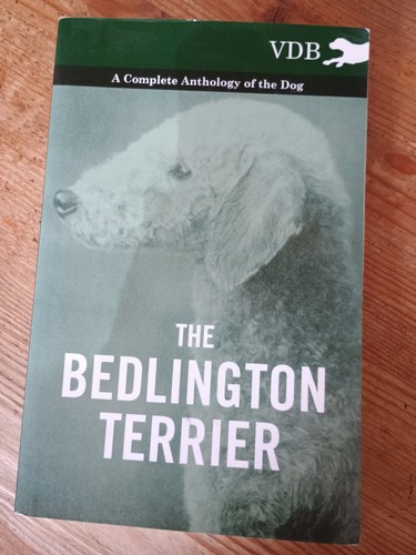 The bedlington terrier - bedlington, a