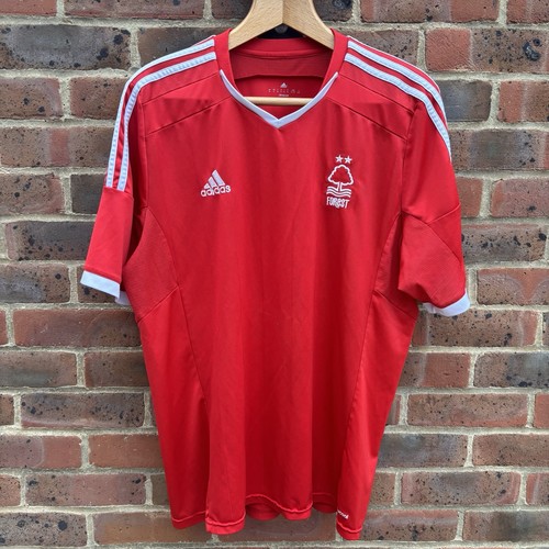 Nottingham forest home - nottingham,