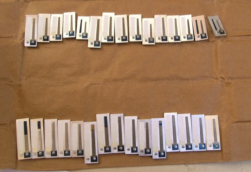 Voci armoniche tam reeds - voci,