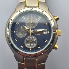 Pulsar Men’s Titanium